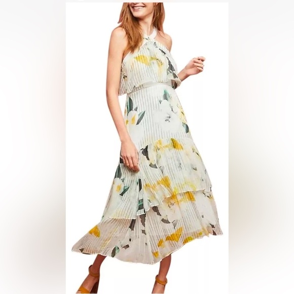 Anthropologie women’s Garden Party Dress Floral Ruffle Size 12 midi preloved - Picture 13 of 14